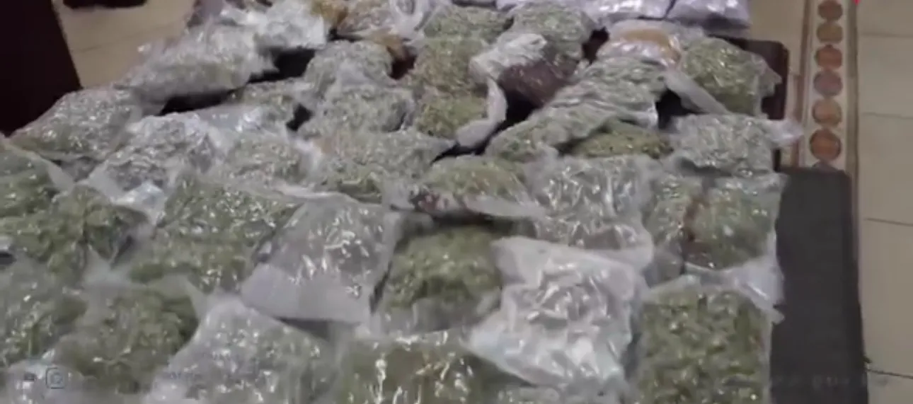 ਕੁਵੈਤ ਕਸਟਮ ਨੇ ਯੂਰਪ ਤੋਂ ਆ ਰਹੀ 50 ਕਿਲੋ ਨਸ਼ੀਲੀ ਸਮੱਗਰੀ ਦੀ ਸਮੱਗਲਿੰਗ ਨੂੰ ਨਾਕਾਮ ਕੀਤਾ